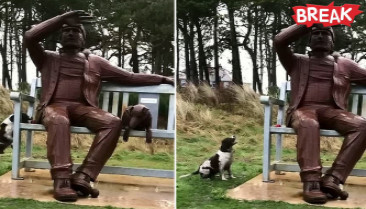 Hilarious moment playful dog pesters statue to play ball with him